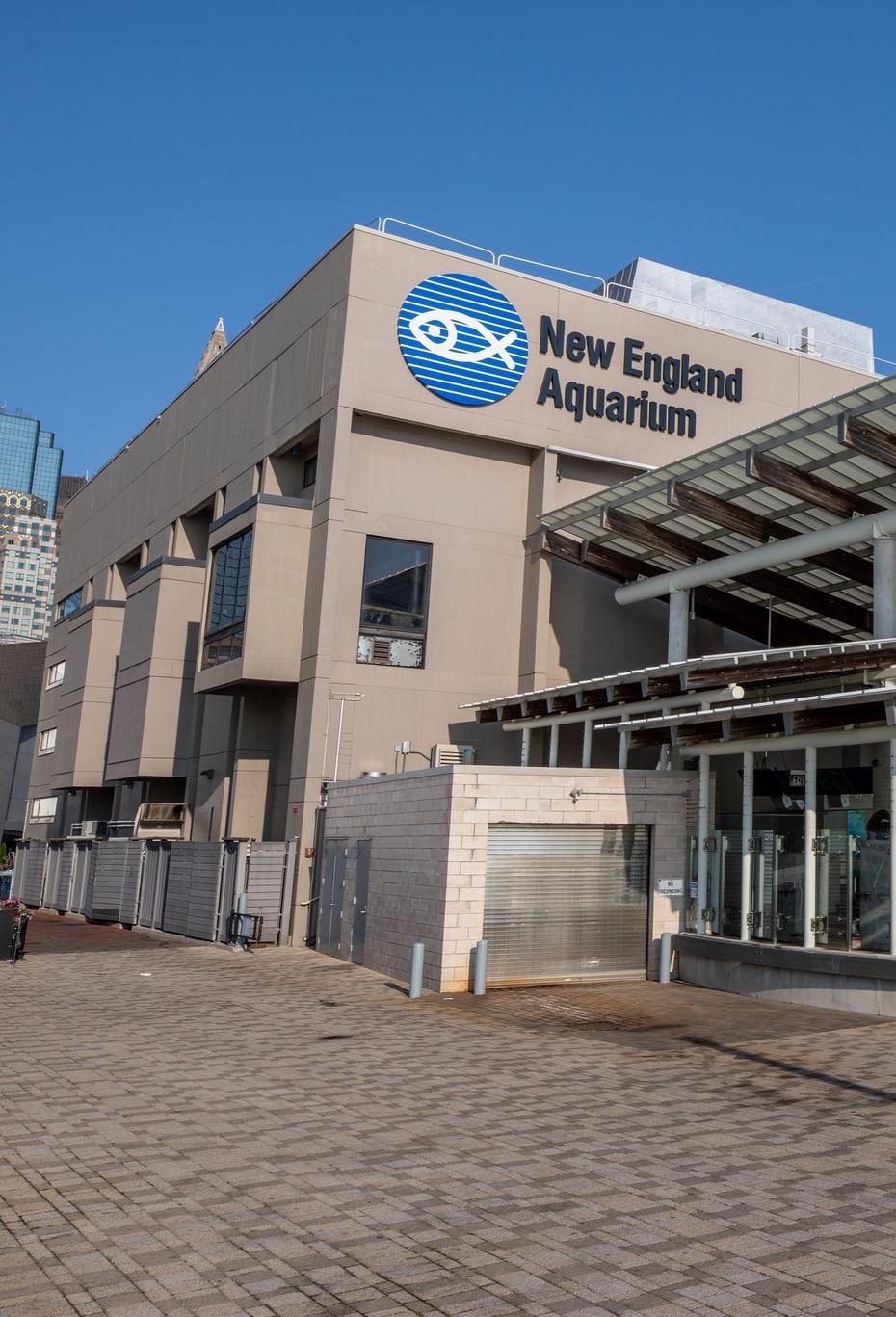 New England Aquarium